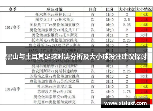 黑山与土耳其足球对决分析及大小球投注建议探讨